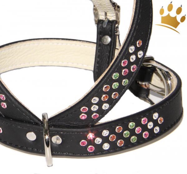 Ledergeschirr Avelino Tre Colori Schwarz