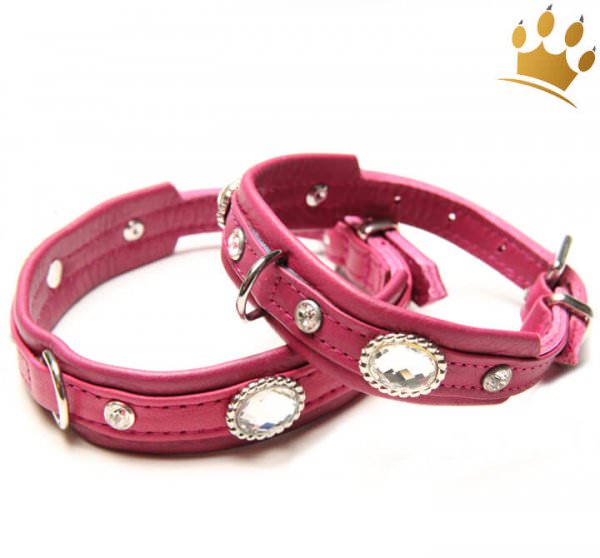 Hundehalsband Thunder Himbeere Petit