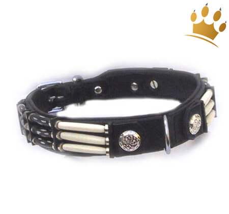 Hundehalsband Black Eagle 25mm