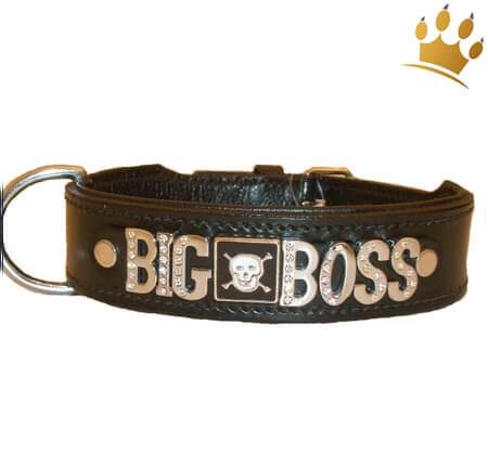 Hundehalsband The Big Boss schwarz