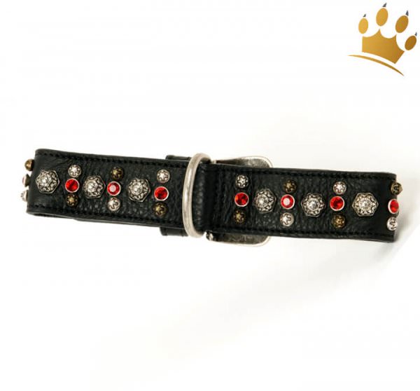 Malucchi Halsband Samarcanda 4cm Schwarz