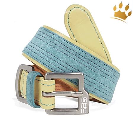 Hundehalsband Canini® Hunky Blau