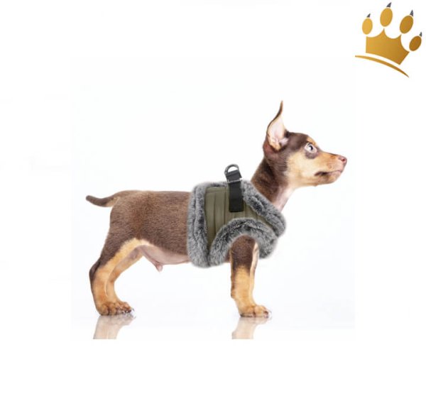 Milk & Pepper Felix Step In Hundegeschirr