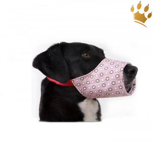 Hundemaulkorb Pink Parfait