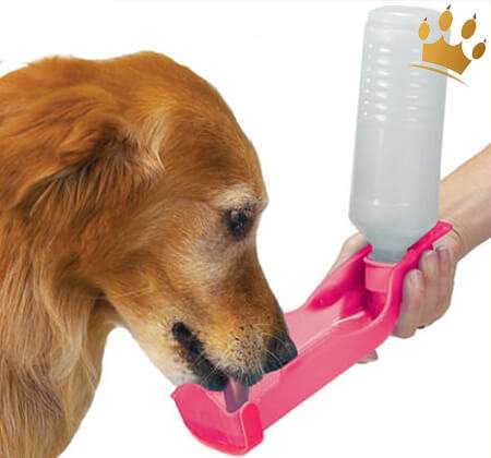 Hundetrinkflasche maxi rosa