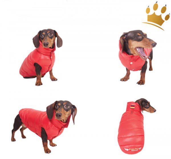 Puppy Angel Dackel Hundemantel Love Faux Hell-Blau