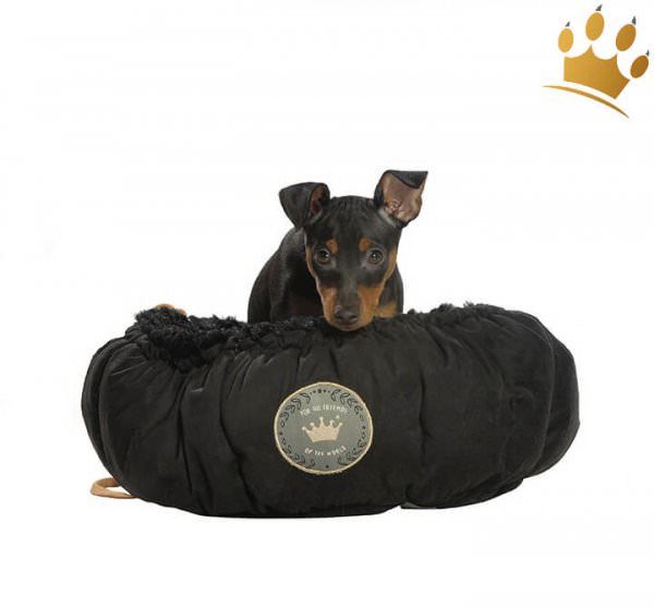 Hundebett Little Nuage 2 in 1 Schwarz