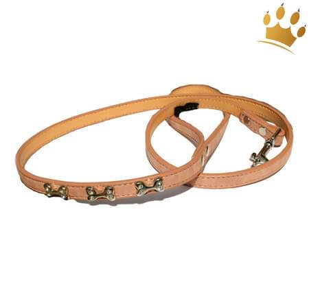 Hundeleine Kingston Altrosé