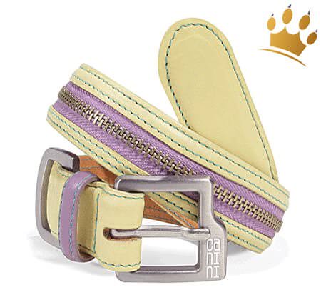 Hundehalsband Canini® Zip-a-Dee Gelb