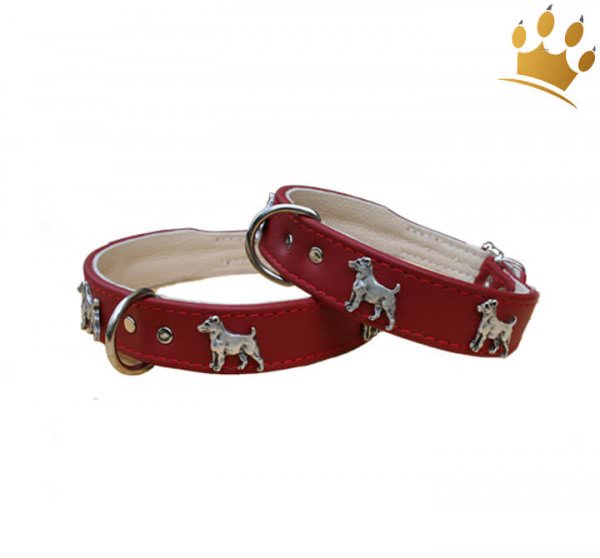 Motivhalsband Jack Russel Kirsch-Rot