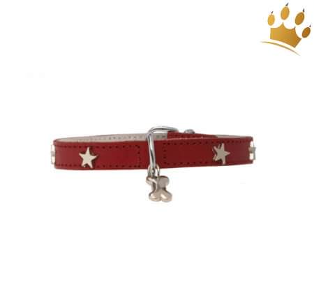 Hundehalsband Silverstar Red