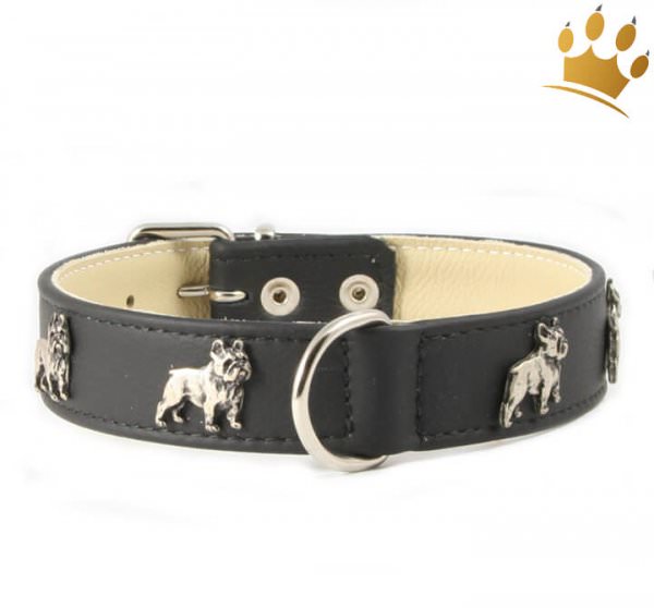 Motivhalsband Französische Bulldogge Schwarz