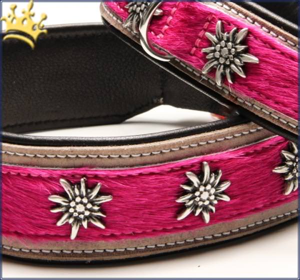 Hundehalsband Gipfelstürmer Pink Detail