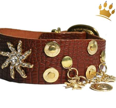 Hundehalsband Estrella de Mar Braun