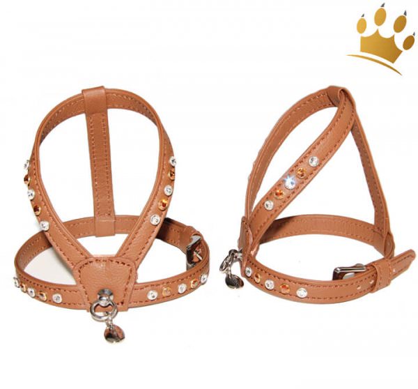 Malucchi Hundegeschirr Bright Deluxe Cognac