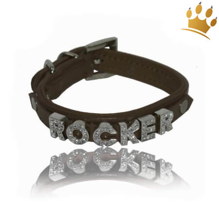 Personalisiertes Halsband Für Hunde Mit Namensgravur – Nylon, Schwere Schnalle, Inkl. Leine, Für Kleine Bis Große Hunde