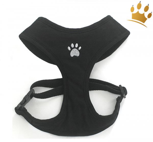 Softgeschirr City Paw Deluxe