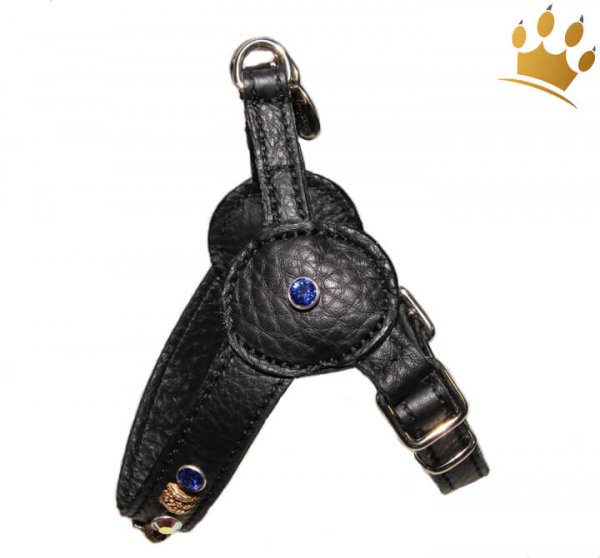 Malucchi Hundegeschirr Movie Petra Schwarz