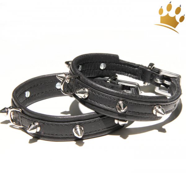 Hundehalsband Mini Spike Schwarz