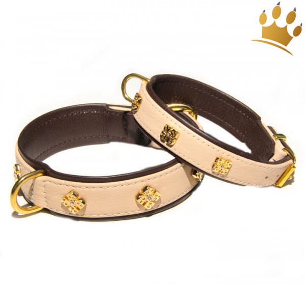 Hundehalsband Kairo Royal Elfenbein