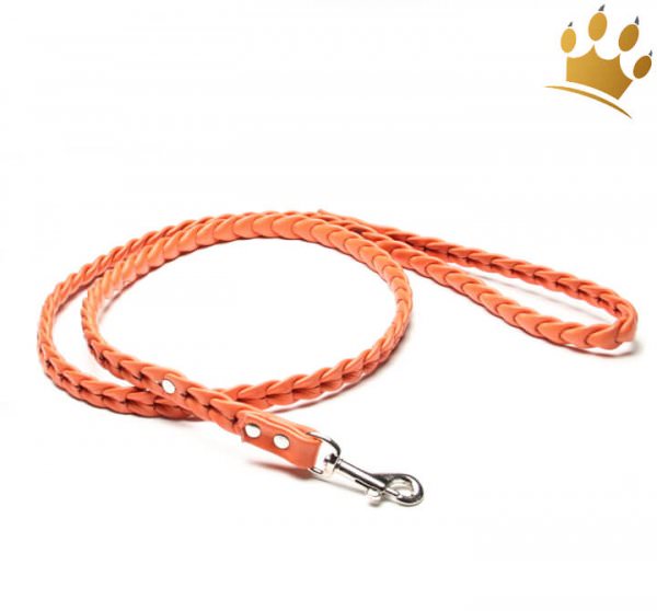 Hundeleine Leder Ascot Orange Lederleine Geflochten Lederleinen Hundeleinen Halsband Leine Geschirr Cani Di Mondo Onlineshop Fur Exklusives Hundezubehor