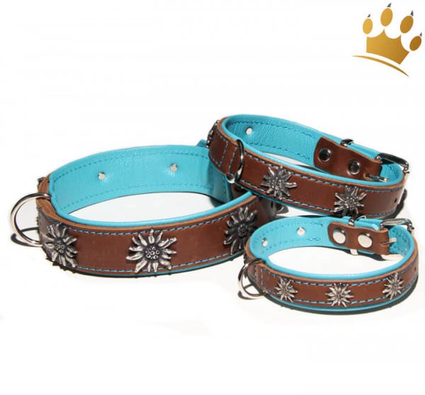 Hundehalsband Edelweiß Tirol Braun/Türkis