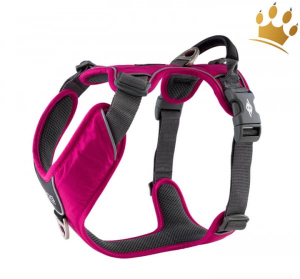 Hundegeschirr Dog Copenhagen V2 Comfort Walk (Pro) Wild Rose