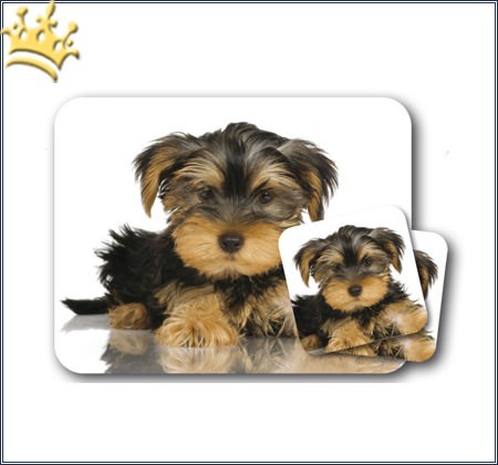 Mousepad & Untersetzer Yorkshire Terrier 3er-Set