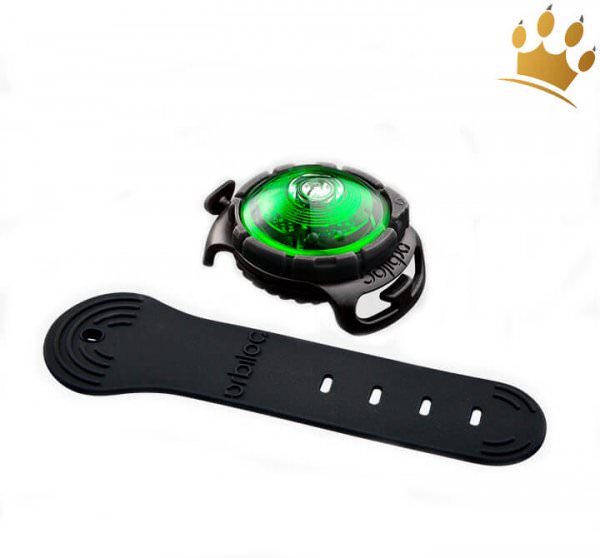 Orbiloc Leuchtbutton Dog Dual Grün