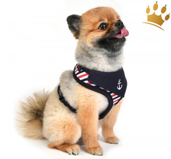 Puppia Softgeschirr Seaman Blau