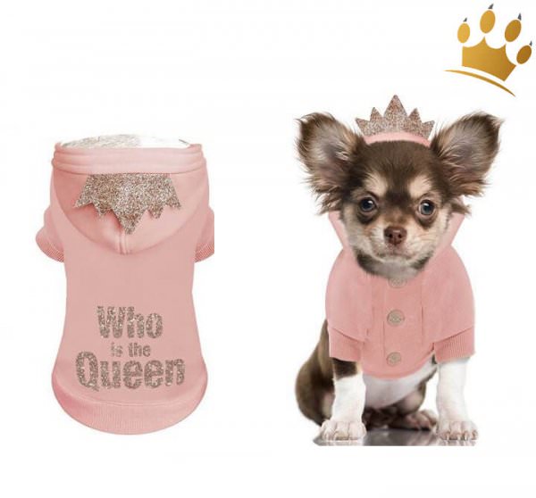 Milk & Pepper Hundesweater Alix Who is the Queen