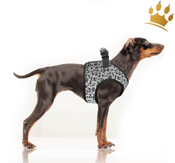 Milk & Pepper Step InTravis Hundegeschirr Grau