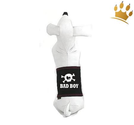 Rüdenband Lucky Skull