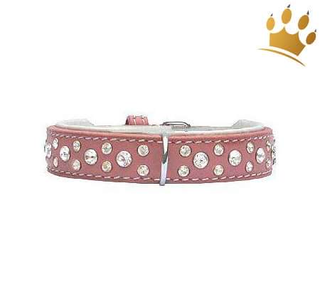 Hundehalsband Miami Pink 20mm