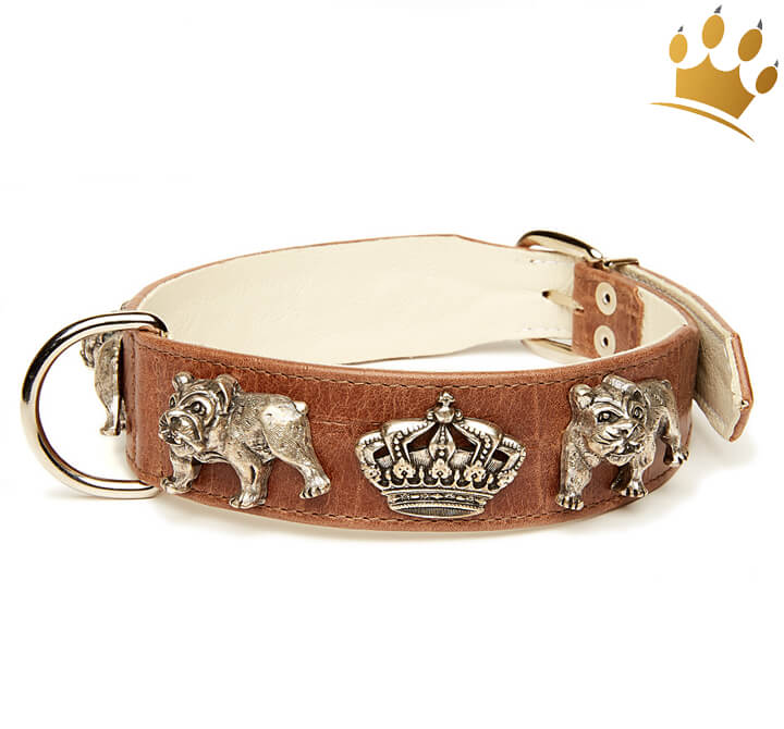 Hundehalsband English Bulldog Cognac - Hundehalsbnder Online kaufen |  Halsbnder ohne Strass | Hundehalsbnder | Halsband - Leine & Geschirr |  Cani di mondo - Onlineshop fr exklusives Hundezubehr