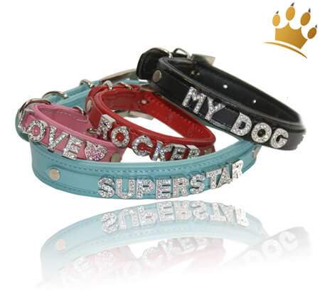 Namenshalsband Dog alle