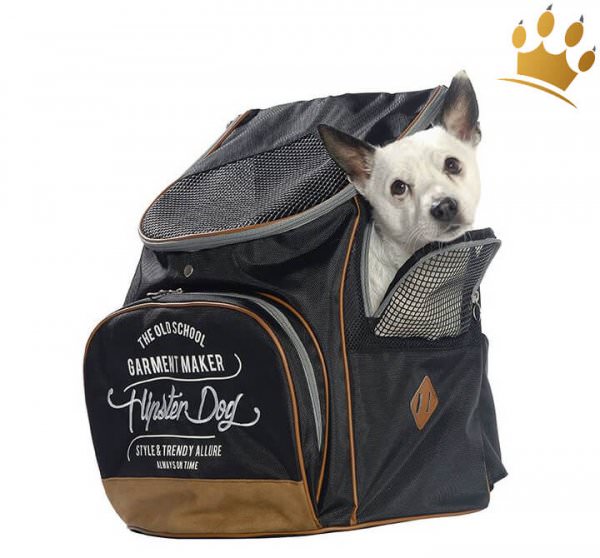 Hunderucksack Travel