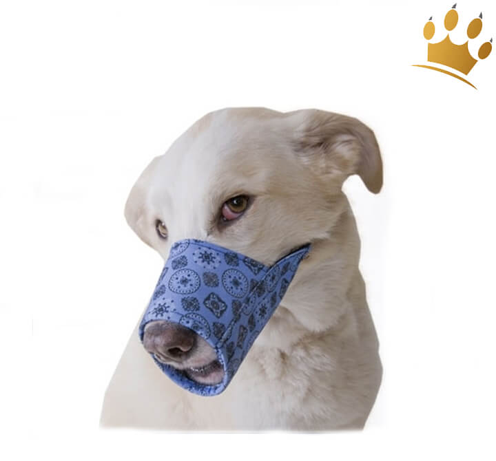 Hundemaulkorb Blue Bandana Maulkorbe Hund Unterwegs Cani Di Mondo Onlineshop Fur Exklusives Hundezubehor