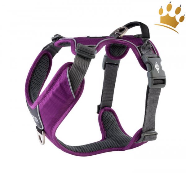 Dog Copenhagen Hundegeschirr V2 Comfort Walk (Pro) Purpel Passion