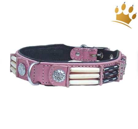 Hundehalsband Pink Eagle 25mm