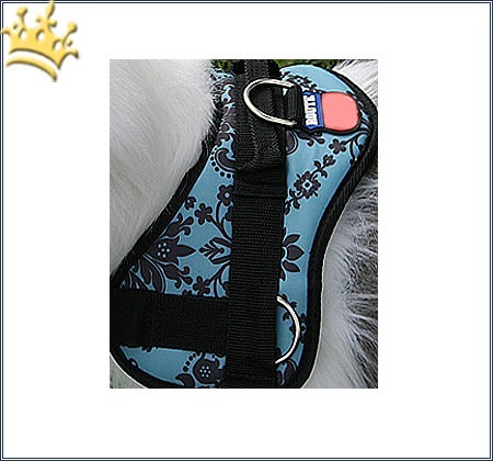 Hundegeschirr Survival Floral Blau