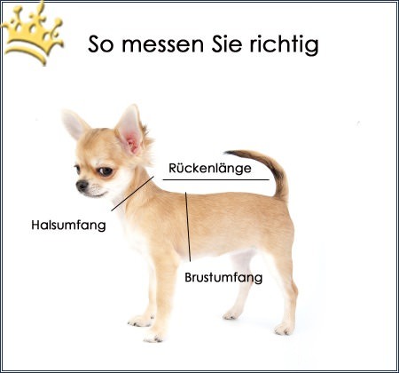 Step-In Hundegeschirr Plain Black