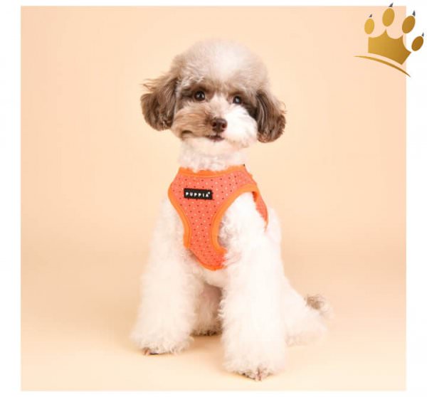Puppia Step-In Geschirr Bonnie Orange