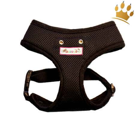 IPuppyone Softgeschirr Policia Black