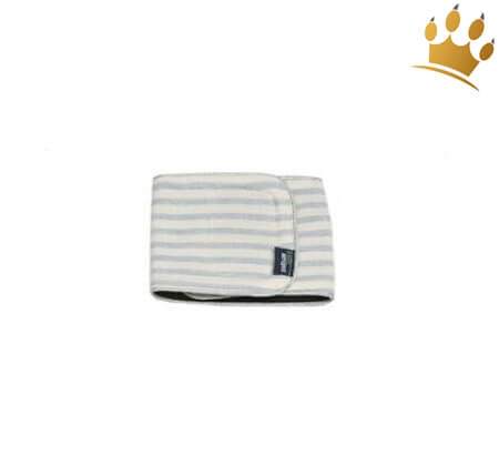 Rüdenband Blue Stripes