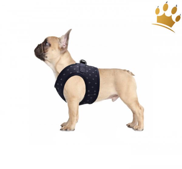 Milk & Pepper Step In Hundegeschirr Spinnaker Blau