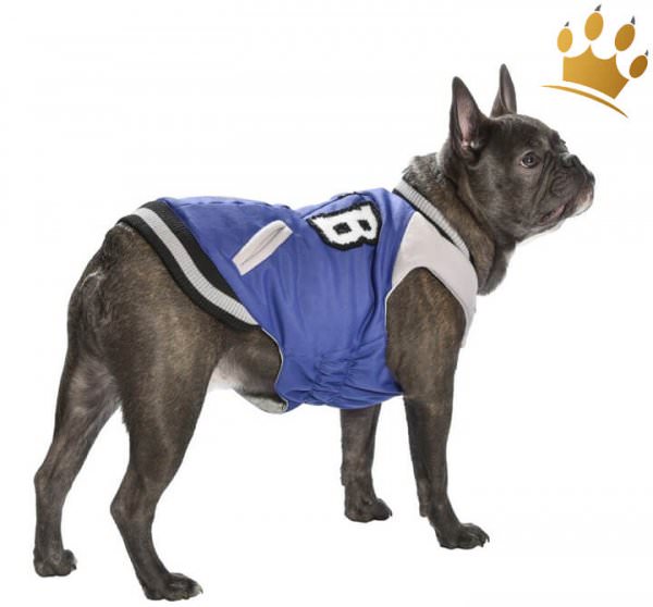 Hundemantel College Tyler Blau