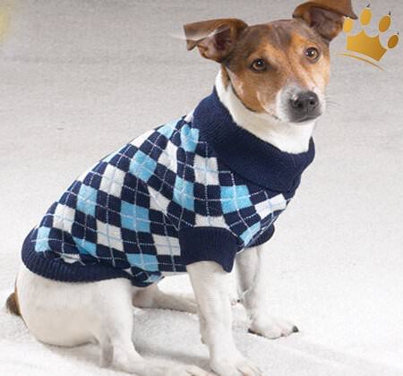 Hundepulli Argyle blau