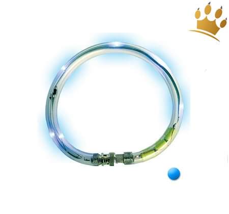 LumiVision® Hundeleuchthalsband Blau