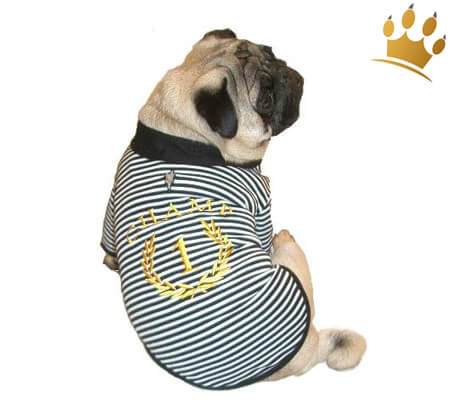 Hunde-Shirt CHAMP